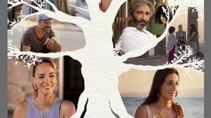 Zeytin ağacını izlediniz mi?