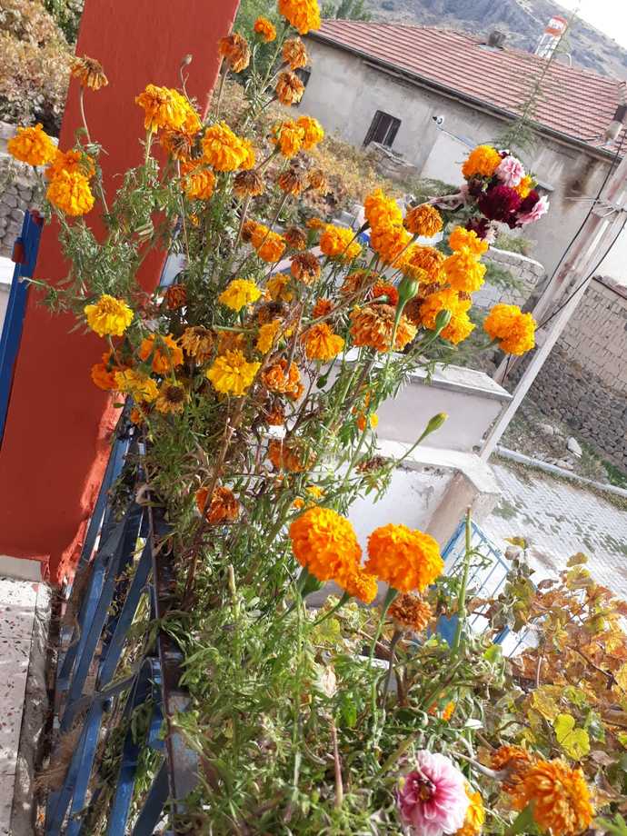Sağlıklı kararlar alabiliyor musunuz?