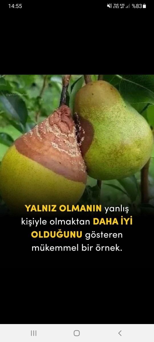 Yalnız olmak yanlış bir kişiyle olmaktan daha iyi midir?