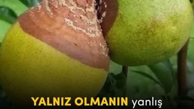 Yalnız olmak yanlış bir kişiyle olmaktan daha iyi midir?