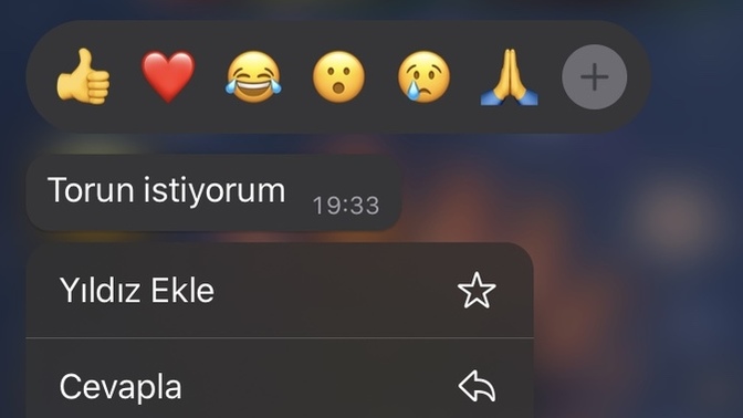 Babam torun istiyormuş nereden bulabilirim?