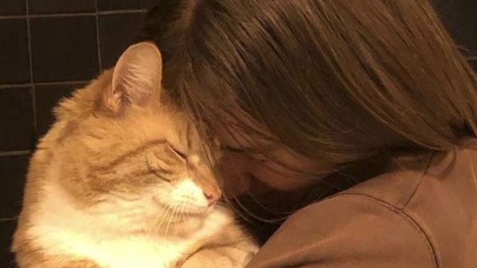 Karşı komşum kedi sevmiyor. Yöneticiyle bir olup beni zabıtaya şikayet edecekmiş, ne yapabilirim bu konuda?