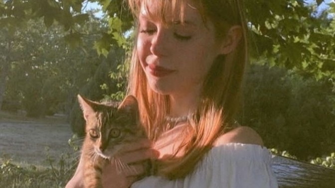 Kuzenim gibi kedi aşıkları burada mı?