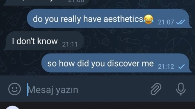Bugün bir honkong'lu ablamız bana yazdı ve direk evlilik konusunu geçirdi amacı ne olabilir?