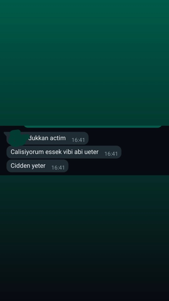 Arkadaşlar bi bakabilirmisiniz fotoya neden böyle yaptı?