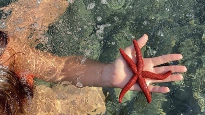 Bu yaz tatil yaptınız mı?