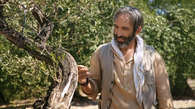 Zeytin Ağacı'ndaki Zaman Bey gibilere gerçek hayatta üfürükçü denirken, dizide neden dibimiz düştü?