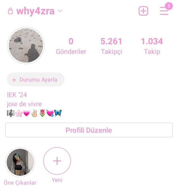 Instagram da kac takipçiniz var?