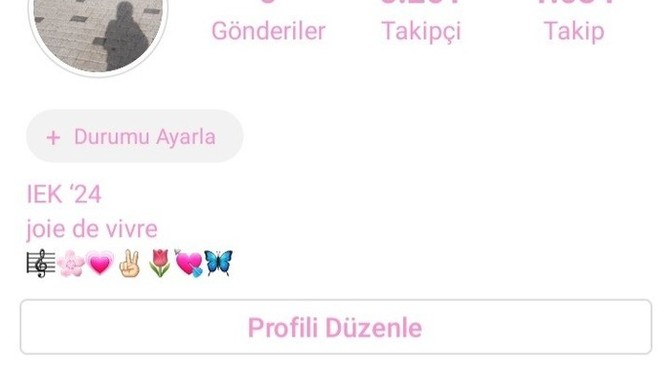 Instagram da kac takipçiniz var?