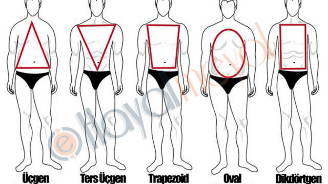 Hangi Vücut tipi hoşunuza gidiyor?