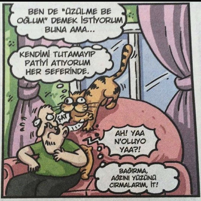 Bugün Dünya Kedi Günü! Siz kedileri nasıl bilirsiniz?