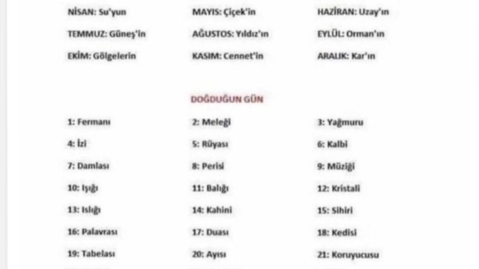 Japoncada doğduğun günün anlamı ne?