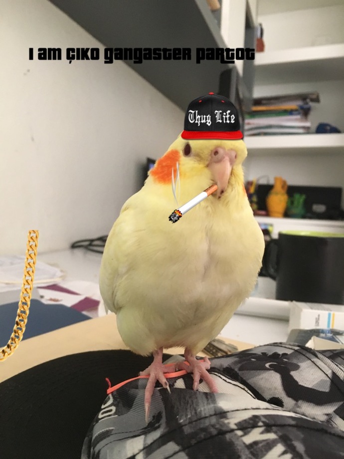 Ne marka sigara içiyorsunuz ?