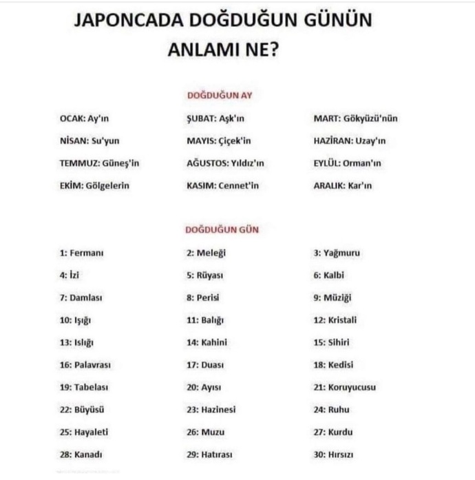 Ormanın Meleği🧚🏻♀️