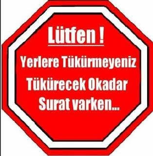 Türkiyede bol miktarda iki ayaklı lama var.