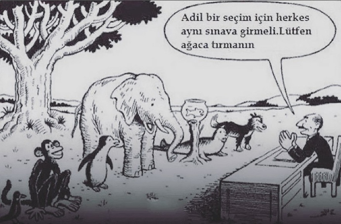 İzlemeyi en çok sevdiğiniz hayvan belgeseli nedir?