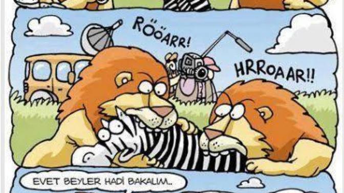 İzlemeyi en çok sevdiğiniz hayvan belgeseli nedir?