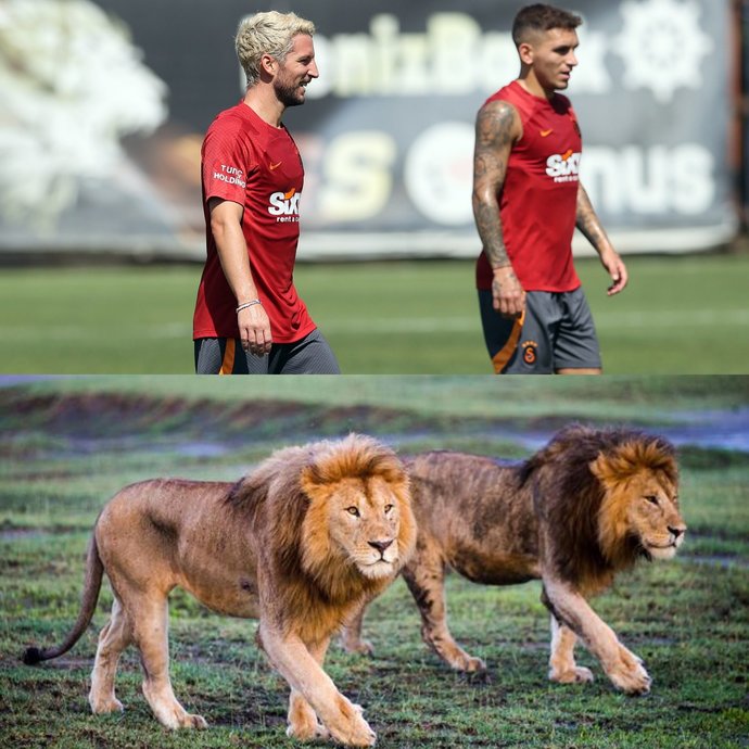 Lucas Torreira ve Dries Mertens, Galatasaray ile resmi sözleşme imzaladı. Bu transferleri nasıl buldunuz?