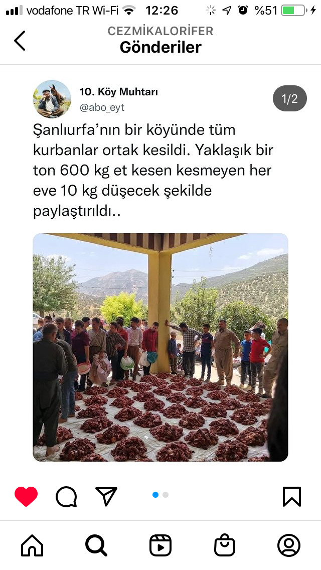 Büyük şehirlerde kurban kesilirken belediyeler öncülüğünde neden ortak kurban kesimi yapılmıyor?