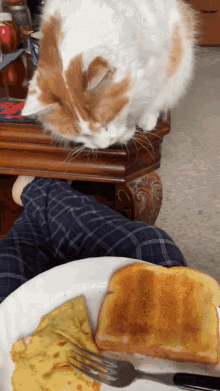 Neli tost seversiniz?