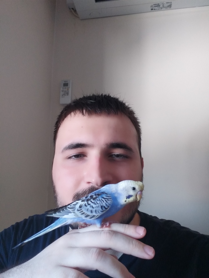 Kuşumla biz nasılız?