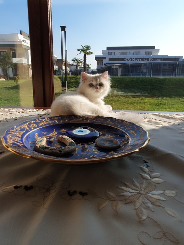 Evinizin camından bakınca ne görünüyor?