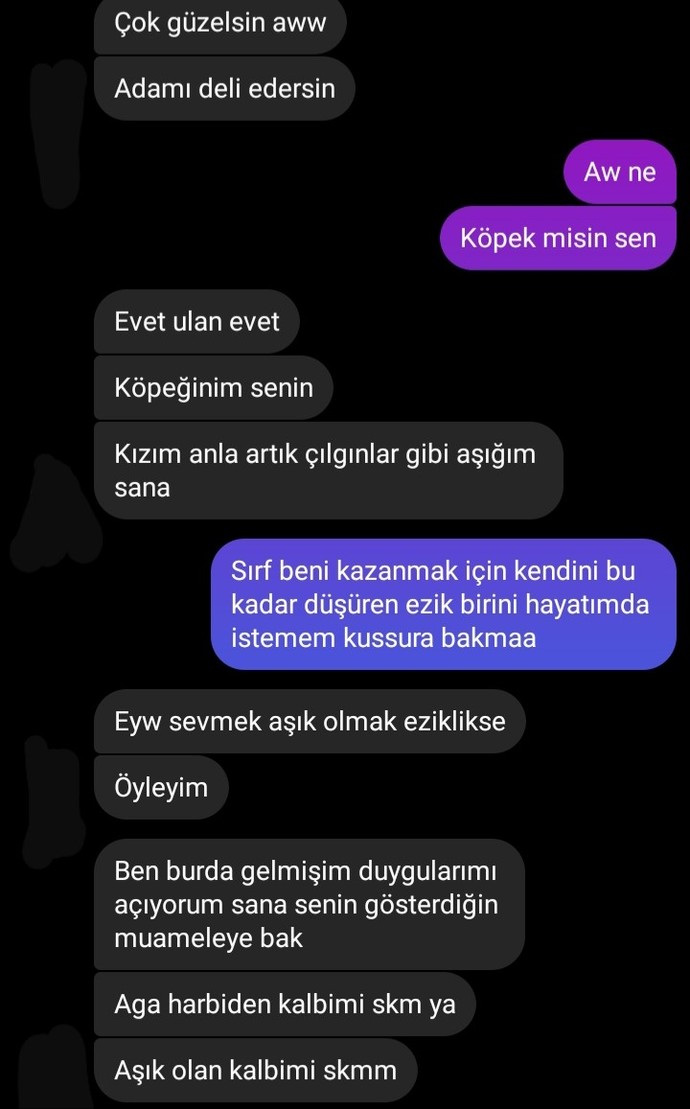 Çok mu ileri gitmişim?
