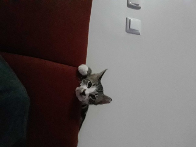 En son yaptığınız şeyi beraber yapsaydık, ne yapmış olurduk?