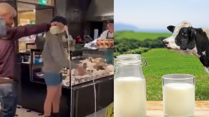 Veganlar marketteki sütü yere dökme eylemi yaptı. Sizce dolar yakanlarla aynı mantık mı?
