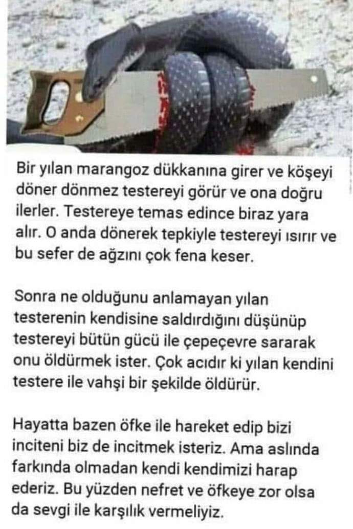 Nefret ve öfkeye karşı sevgi ile karşılık verir misiniz?