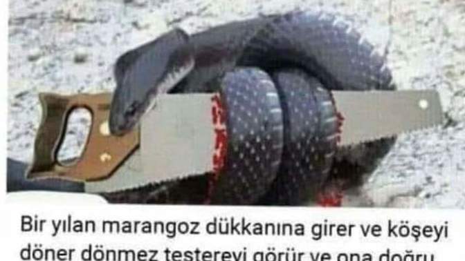 Nefret ve öfkeye karşı sevgi ile karşılık verir misiniz?