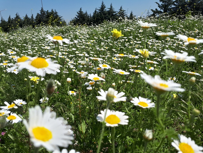 Hayatta en cok istediklerinizi gerceklestirebildiniz mi?