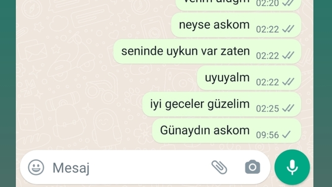 Mesaja bilerek mi bakmamıs?