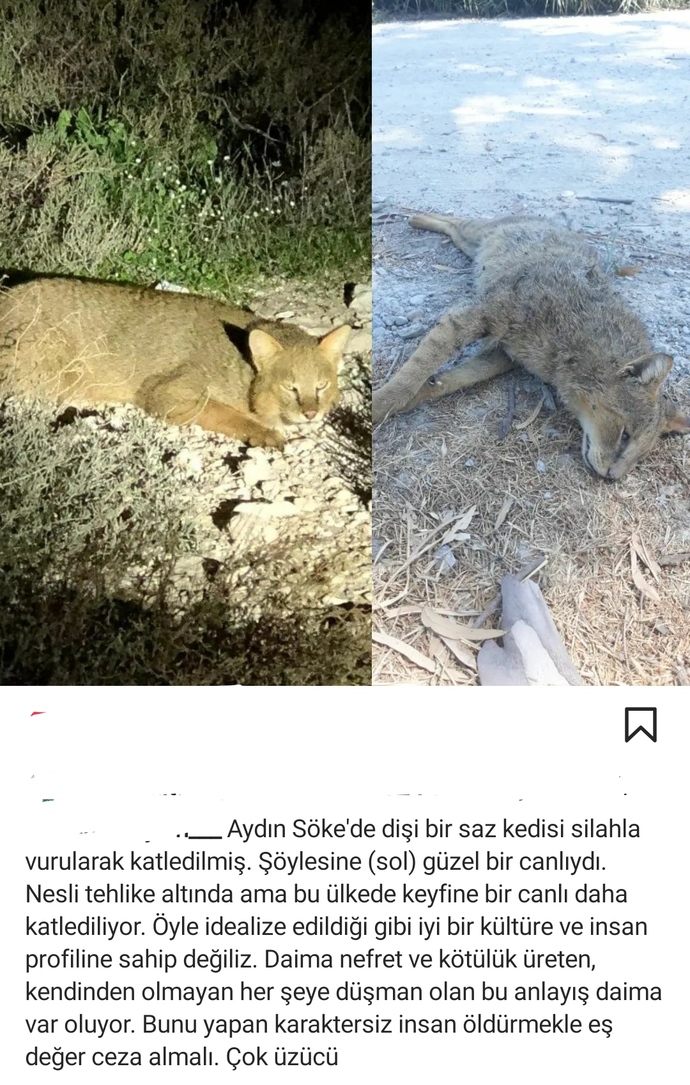 İnsanlar neden böyle? Haber hakkında ne düşünüyorsunuz?