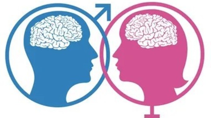 Erkek beyni ile kadın beyni arasındaki fark nedir?