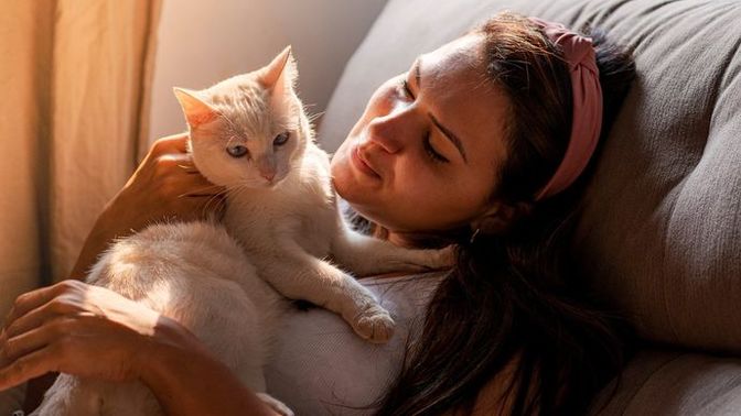 1 ay sahibinden uzak kalan kedi sahibini unutur mu?