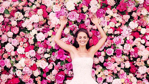 🌸🌺🌹🌷💮
