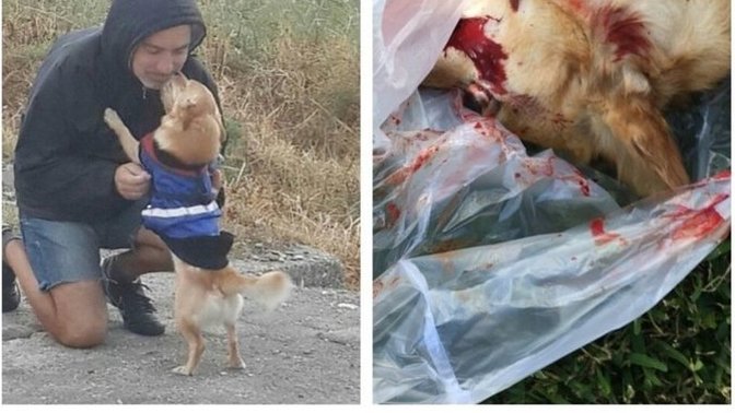 Hayvanlara eziyet verenlere nasıl ceza verilmeli ?