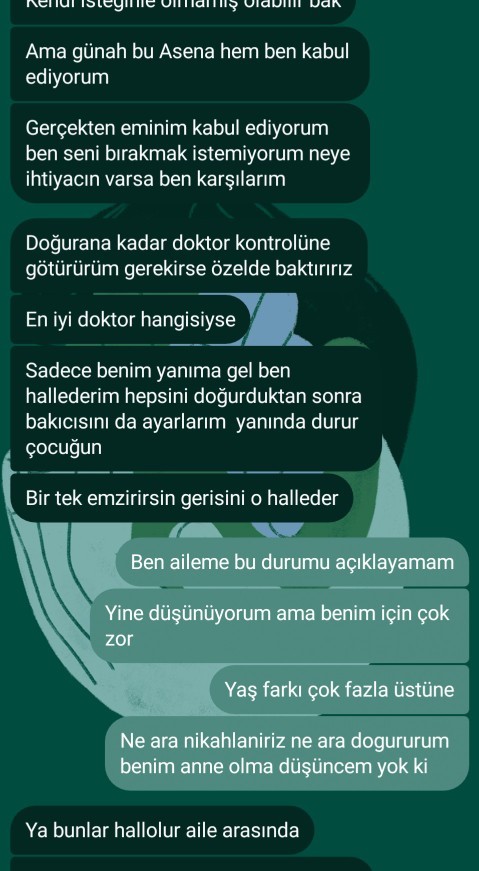 Bir yazılım şirketi sahibi bu masrafları karşılayabilir mi?