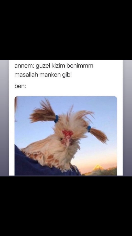 Güzelliğinize iltifat alır mısınız?