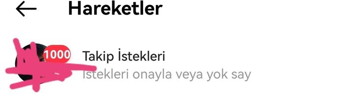 1000 takip isteğinden sonra istekler görünmüyor nasıl görünür?