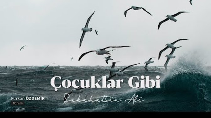 İyi geceler🤗geceye şiir bırakalım mi?