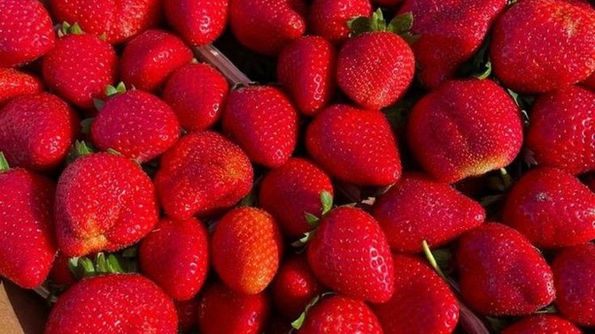 Kokusuyla ayrı tadıyla ayrı kendine aşık eden meyvelerden: Çilek 🍓 En sevdiğiniz hâli nedir😋?