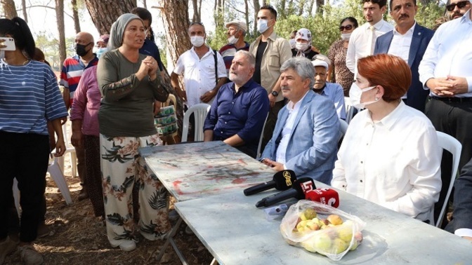Meral Akşener'i sokak köpeği ısırdı! Sokakta köpeklerle karşılaştığınızda ne yapıyorsunuz?