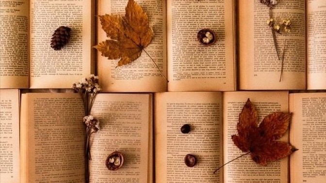 Hayatınız boyunca okuduğunuz kitapları değerlendirecek olsanız en kaliteli bulduğunuz kitap hangisi olurdu?