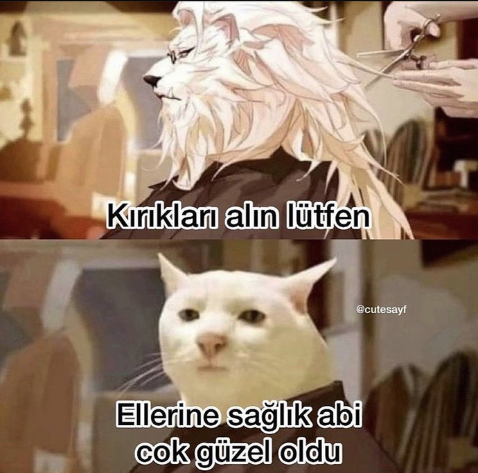 En son ne zaman kuaföre gittiniz?