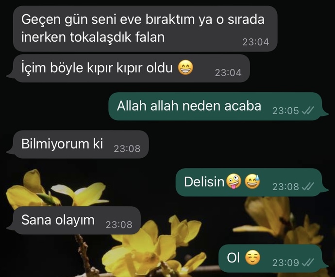 Sizce hoşlanmış mı benden?