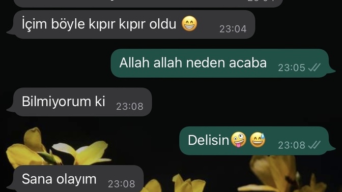 Sizce hoşlanmış mı benden?