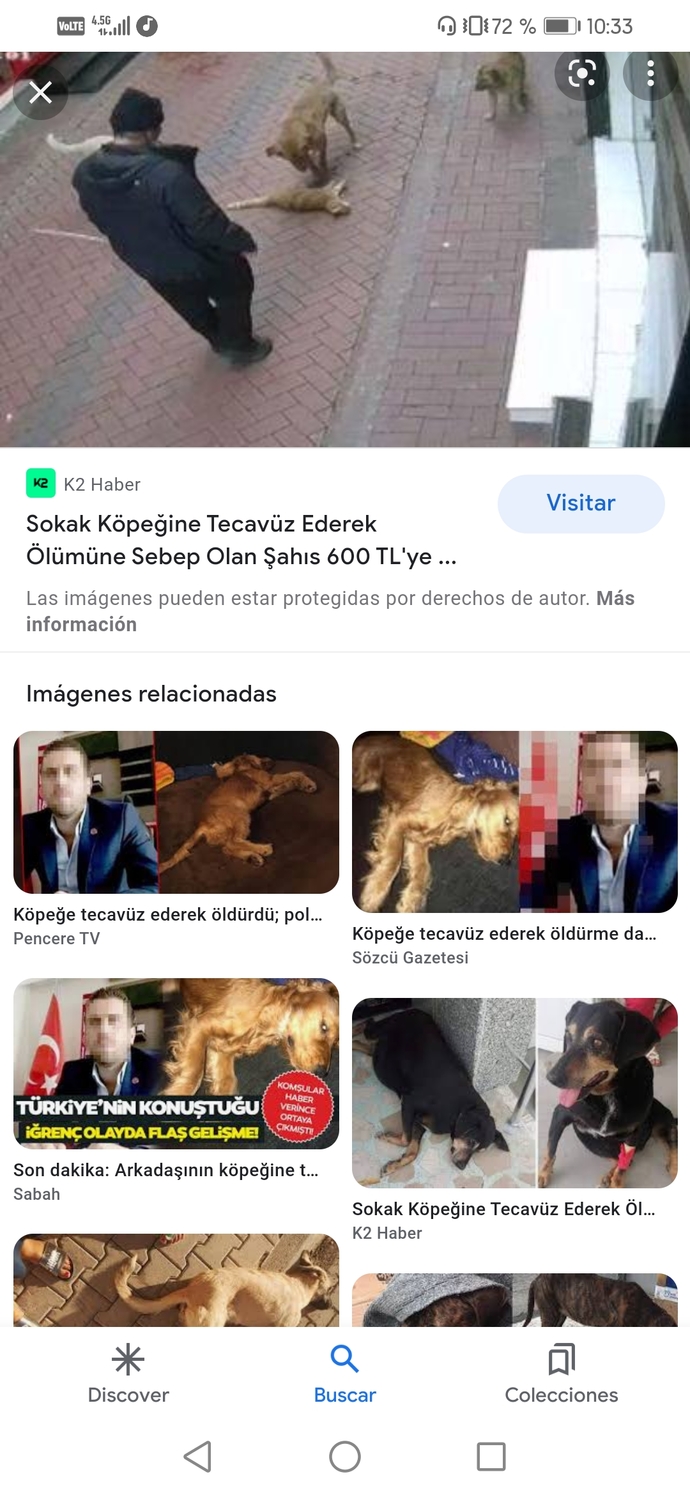 Hayvanlara verilen zararın intikamını kim alıcak?