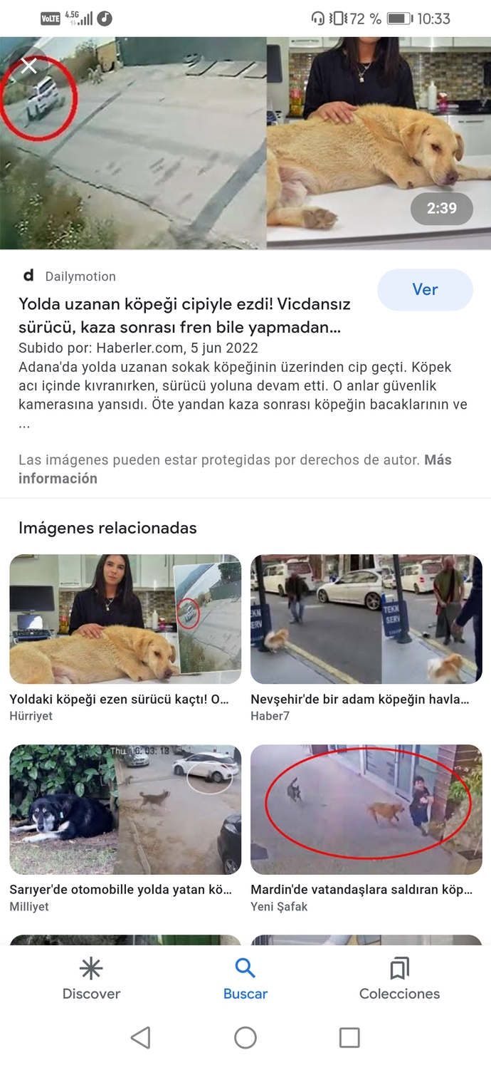 Hayvanlara verilen zararın intikamını kim alıcak?